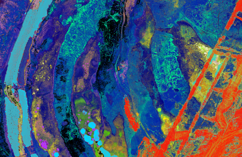 Illustration for article titled Researchers Are Scanning Forests With Lasers to Monitor Their Health